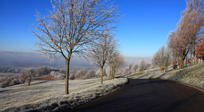 Farncombe Estate