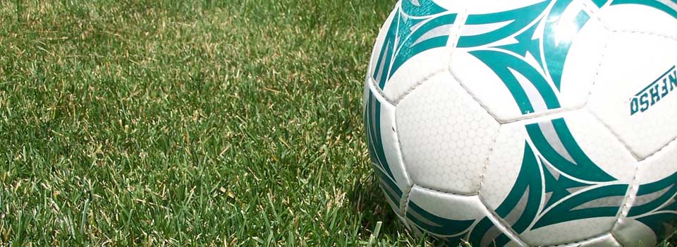 Local Sports