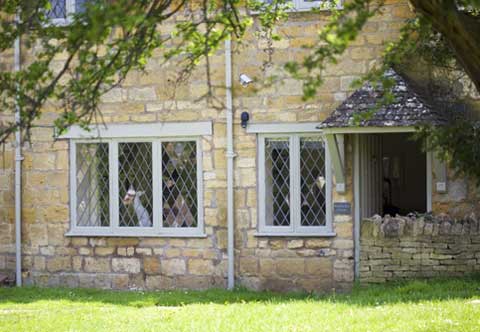 Bumble Bee Cottage